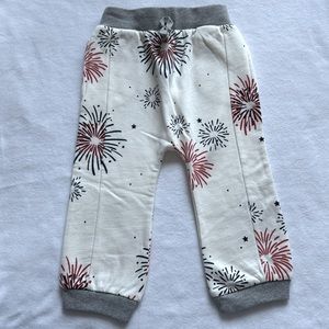 Monica & Andy Fireworks Jogger